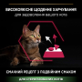 Купить Cat Adult Sterilised Savoury Duo Сod & Тrout Сухой корм для взрослых кошек после стерилизации с треской и форелью
