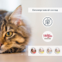 Купить Migliorgatto Sterilized Беззерновые консервы для стерилизованных кошек мусс с говядиной