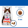 Купить SP Perfect Digestion Adult Cat Сухой корм с курицей и бурым рисом для взрослых кошек