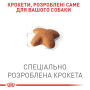 Кипити Beagle Adult - сухий корм для дорослих собак породи Бігль віком від 12 місяців