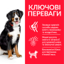 Купить SP Canine Adult Large Breed Chicken Сухой корм с курицей для взрослых собак крупных пород