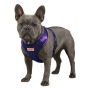 Купить WAUDOG Mesh «NASA21» Шлея для собак с QR адресником