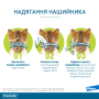 Кипити Foresto - нашийник (38 см) для захисту cобак та котів від бліх, волосоїдів, іксодових кліщів