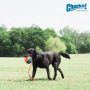 Кипити ROPE FETCH - Іграшка легкий м'яч на мотузці для собак