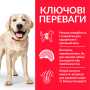 Кипити SP Canine Adult Light Large Breed Chicken Сухий корм з куркою для малоактивних дорослих собак великих порід