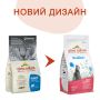 Купить Cat Adult Sterilised with Fresh Salmon Сухой корм для взрослых стерилизованных кошек со свежим лососем