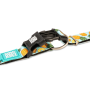 Купить Smart ID Collar Matrix Sweet Pineapple Ошейник для собак