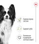 Кипити X-Small Adult - сухий корм для дорослих собак дуже дрібних розмірів (від 10 місяців)