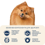 Кипити Healthy Skin And Shiny Coat Сухий корм з індичкою та лососем для дорослих собак малих порід, для здорової шкіри та блиску шерсті