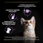 Купить Kitten Healthy Start Chicken Сухой корм с курицей для котят, беременных и кормящих кошек