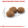 Купить Sterilised 37 - сухой корм для стерилизованных кошек (от 12 месяцев)