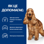 Кипити PD Canine Z/D ActivBiome+ Лікувальний сухий корм для дорослих собак схильних до харчової алергії