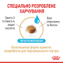 Купить Yorkshire Terrier Ageing 8+ - сухой корм для зрелых собак породы йоркширский терьер (от 8 лет)
