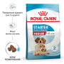 Кипити Medium Starter Mother & Babydog - сухий корм для вагітних собак та цуценят середніх порід (до 2 місяців)