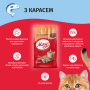 Купить Сухой корм для взрослых кошек с карасем