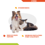 Купить ArthroMax dogs – добавка в виде сиропа для собак