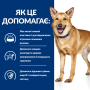Купить PD Canine I/D ActivBiome+ Диетический влажный корм с индейкой для уменьшения расстройств пищеварения у взрослых собак