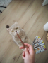 Купить Sticks Turkey and Rabbit Лакомство для кошек, с индейкой и кроликом