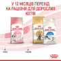 Купить Kitten - сухой корм для котят на каждый день (до 12 месяцев)