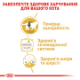 Купить British Shorthair Adult - влажный корм в соусе для кошек британская короткошерстная (от 12 месяцев)