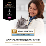Купить Veterinary Diets NF Renal Function Advance Care Кусочки в подливке с лососем для кошек