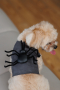 Купить Spider Аксесуар для собак, павук