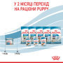 Кипити Starter Mother & Babydog Mousse - вологий корм у вигляді мусу для вагітних собак та цуценят (до 2 місяців)