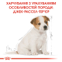 Кипити Jack Russell Terrier Puppy - сухий корм для цуценят породи джек-рассел-тер'єр (до 10 місяців)