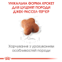 Кипити Jack Russell Terrier Puppy - сухий корм для цуценят породи джек-рассел-тер'єр (до 10 місяців)