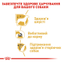 Кипити Yorkshire Terrier Adult - сухий корм для дорослих собак породи Йоркширський тер'єр (від 10 місяців)