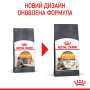 Купить Hair & Skin Care - сухой корм поддерживает эластичность кожи и красоту шерсти у кошек (от 12 месяцев)