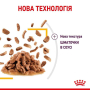 Купить Sensory Taste - влажный корм в соусе для стимуляции особого чувства вкуса у взрослых кошек