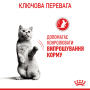 Кипити Appetite Control - сухий корм для котів схильних до випрошування корму (від 12 місяців)
