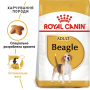Кипити Beagle Adult - сухий корм для дорослих собак породи Бігль віком від 12 місяців