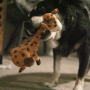 Купить Shakers Bobz Giraffe Игрушка для собак, Жираф