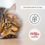 Купить Migliorgatto Sterilized Беззерновые консервы для стерилизованных кошек лосось кусочки в желе