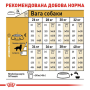 Кипити Golden Retriever Adult - сухий корм для собак породи Голден ретривер (від 15 місяців)