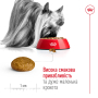 Кипити X-Small Adult - сухий корм для дорослих собак дуже дрібних розмірів (від 10 місяців)