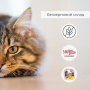 Купить Migliorgatto Sterilized Беззерновые консервы для стерилизованных кошек с курицей ягненком и овощами