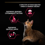 Купить Cat Adult Sterilised Savoury Duo Сod & Тrout Сухой корм для взрослых кошек после стерилизации с треской и форелью