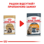 Купить Maine Coon Adult - влажный корм в соусе для кошек породы Мейн-кун (от 15 месяцев)