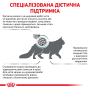 Купить Diabetic - диетический сухой корм для кошек при сахарном диабете