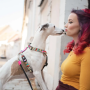 Купить H-Harness Missy Pop Шлея для собак