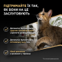 Купить Sterilised Rabbit Кусочки с говядиной для стерилизованных кошек
