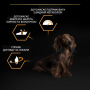 Кипити Dog Adult Small & Mini Everyday Nutrion Сухий корм з куркою для дорослих собак малих і мініатюрних порід