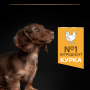 Кипити Puppy Small & Mini Healthy Start Сухий корм з куркою для цуценят малих і мініатюрних порід