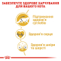 Кипити Maine Coon Adult – сухий корм для котів породи Мейн-кун (від 15 місяців)