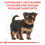 Кипити Yorkshire Terrier Puppy - сухий корм для цуценят породи йоркширський тер'єр (до 10 місяців)