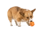 Купить Toppl Dog Toy Игрушка для собак, для лакомства, голубой