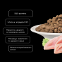 Кипити Cat Adult Healthy Urinary Tract Chicken Entrees Сухий корм з куркою для підтримання здоров'я сечовивідних шляхів у дорослих котів